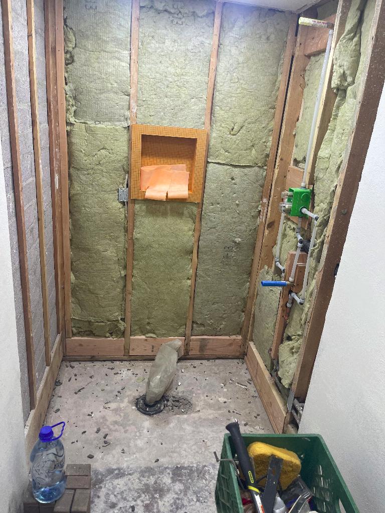 Shower Demo & Substrate Prep